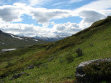 Fjelds 9