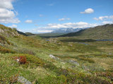 Fjelds 10