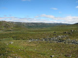 Fjelds 1