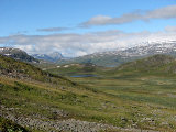 Fjelds 2