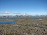 Fjelds 9