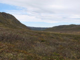 Fjelds 2