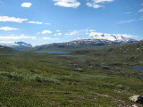 Fjelds 14