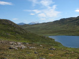 Fjelds 1