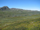 Fjelds 9