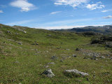 Fjelds 5