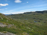 Fjelds 6