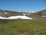 Snowfield 1