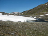 Snowfield 2