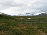 Trail 1