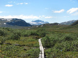 Trail 3