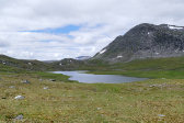 Fierrov�gge 1