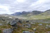 Fierrov�gge 4