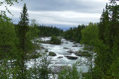 Gam�j�hk� 1