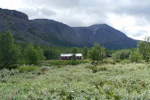 S�mmarlappa cottage 3