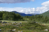 Tarradalen 5