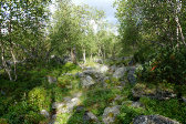 Trail 1