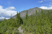 Trail 4