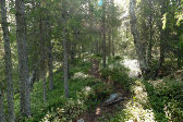 Trail 5