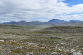 Fjelds 7