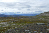 Fjelds 8