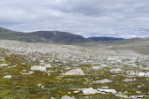 Fjelds 9