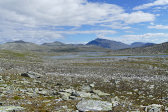 Fjelds 10