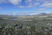 Fjelds 2