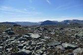 Fjelds 5