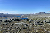 Fjelds 6