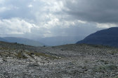 Fjelds 5