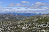 Fjelds 3