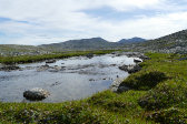 Stream 2