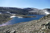 Tarn 5