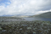 Tarn 3
