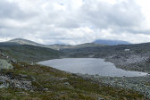 Tarn 5