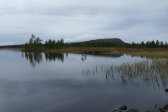 Stor-Vargtj�rnen 2