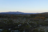 Evening 8