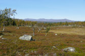 Fjelds 9