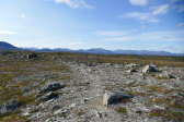 Fjelds 23
