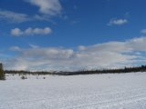 Fjelds 1