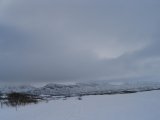 Fjelds 3