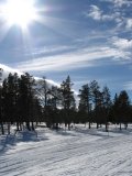 Sun 1