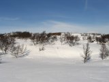 Tracks 1