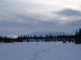 Fjelds 1