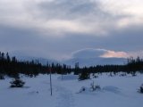 Fjelds 2