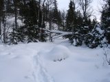 Trail 2
