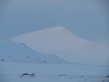 Smllhgarna 8