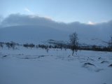Trondfjällen 2