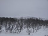 Vlvalen 1